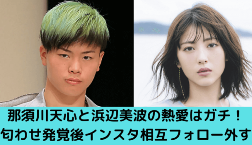 那須川天心と浜辺美波の熱愛はガチ！匂わせ発覚後インスタ相互フォロー外してたｗ