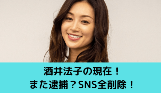 酒井法子の現在！また逮捕？仕事再会＆息子と二人暮らしも再婚予定！