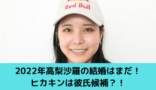 22年最新 高梨沙羅の年収は1億00万円 ベンツを余裕で買える ゆごてん