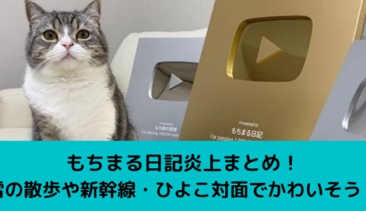 もちまる