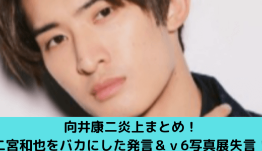 向井康二炎上まとめ！ゲーム中離脱＆二宮和也のアーチェリー発言！