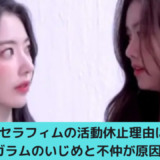 キムガラムと宮脇咲良
