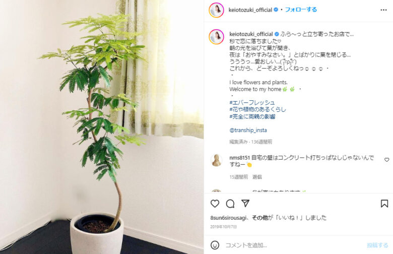 音月桂