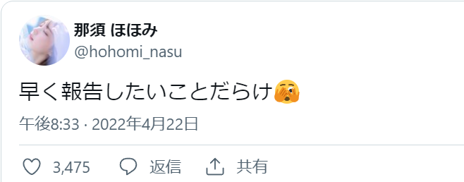 那須ほほみのツイート