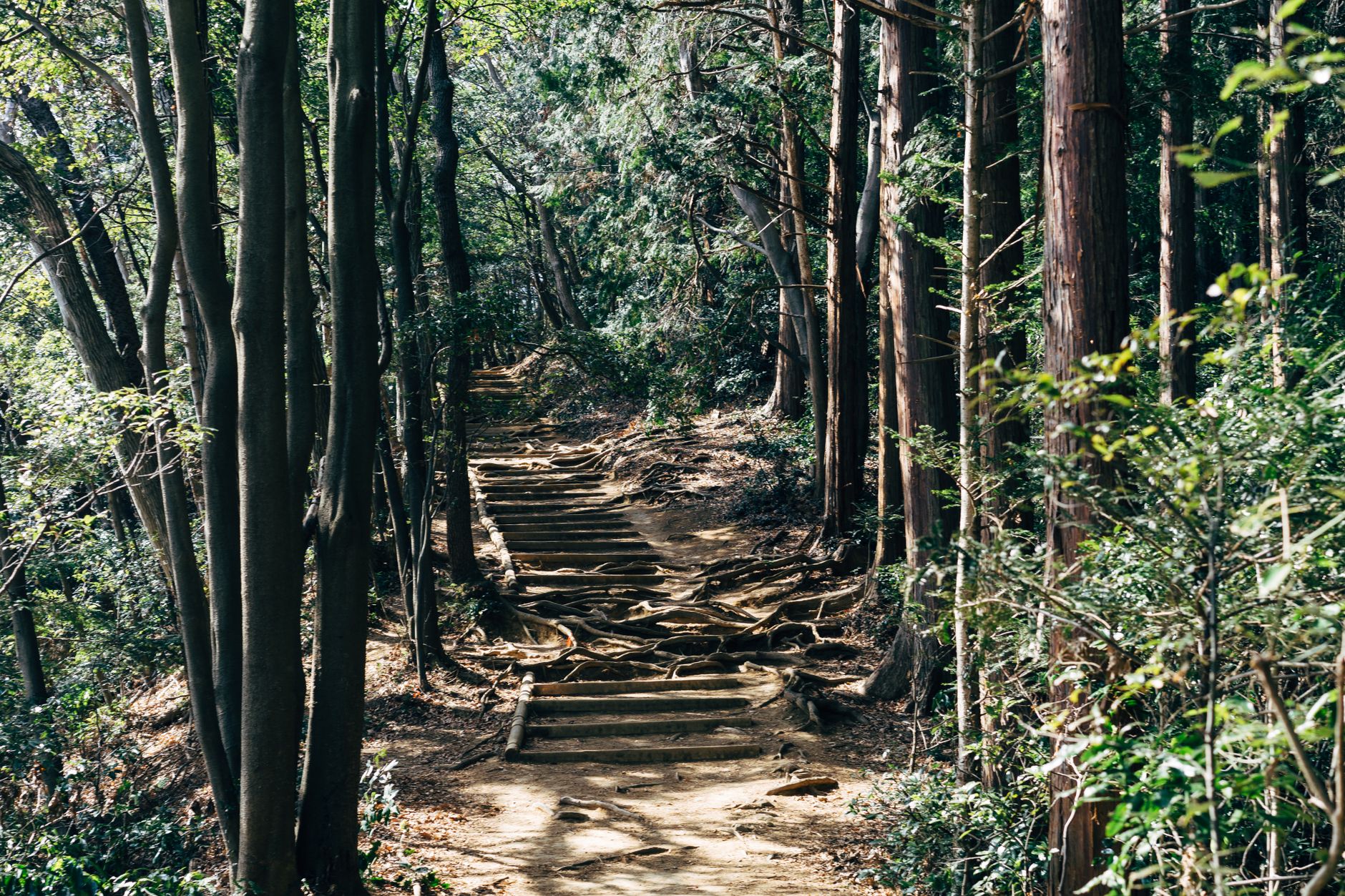 初心者におすすめの筑波山登山コース