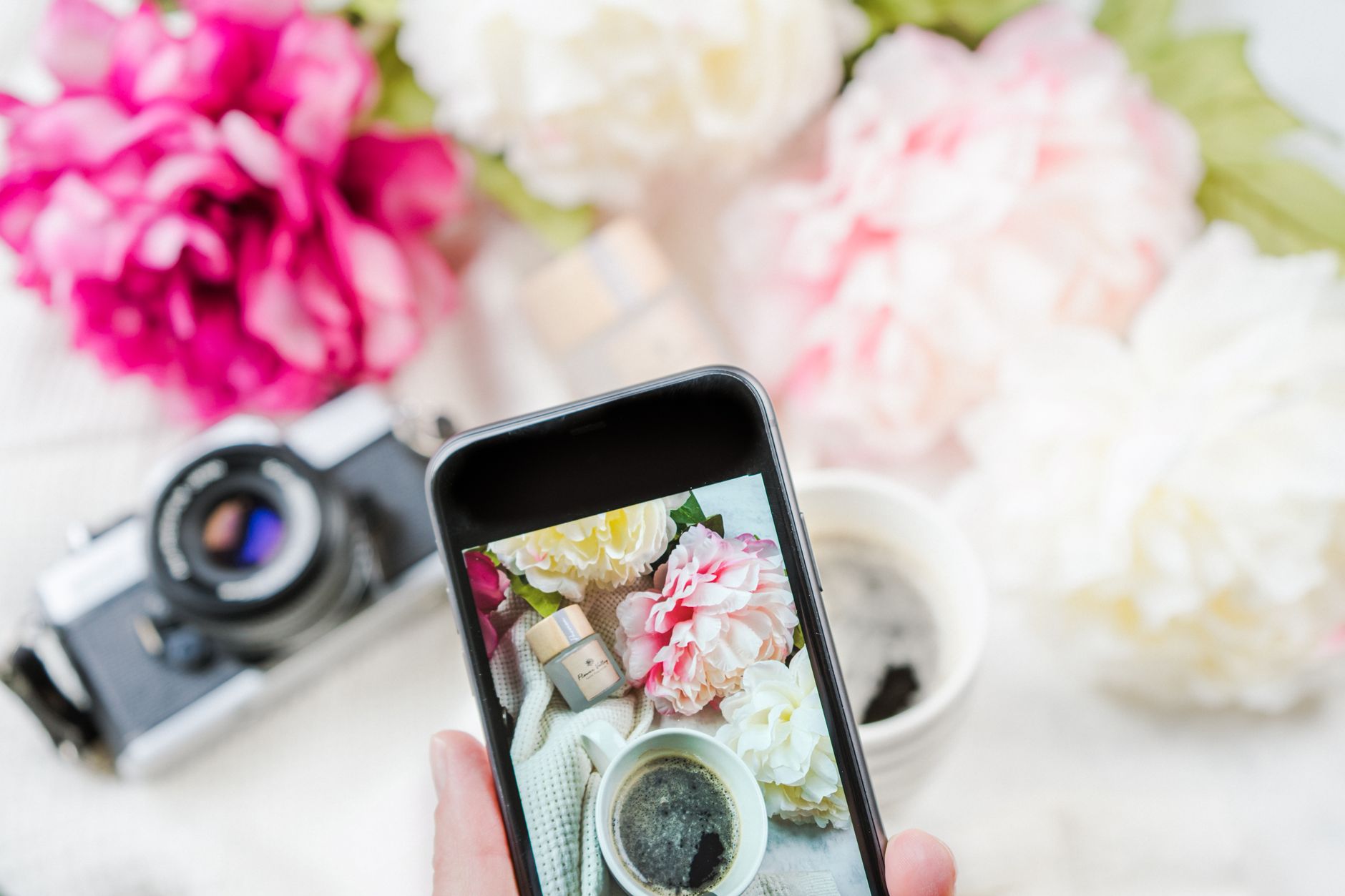 スマートフォンで花の写真をきれいに撮るコツ