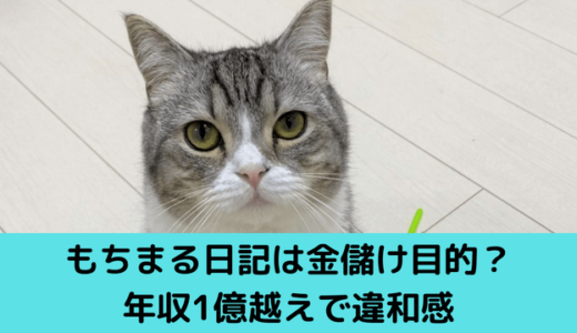 もちまる日記は金儲け目的？年収1億越えで違和感