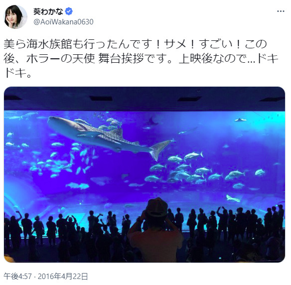 葵わかな水族館